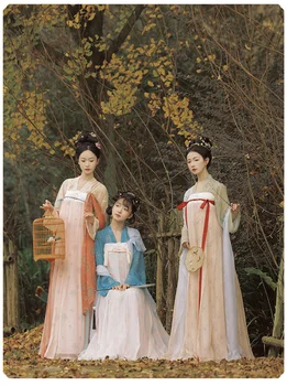 Tang Dinastije Hanfu Obleka za Poletje Ženske Pravljice Oblačila Kitajski Stari Slog, Cosplay Fazi Nositi Obleko CHHT