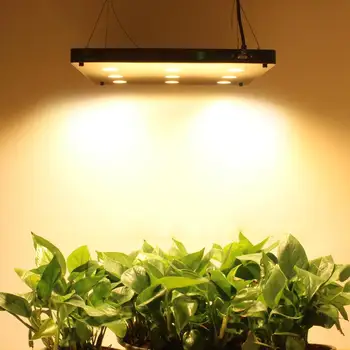 COB LED Grow Light Celoten Spekter 810W LUMNOV COB LED Čip 3500K LED Panel Svetilke za Notranjo Hydroponic Rastline Vse Faze Rasti